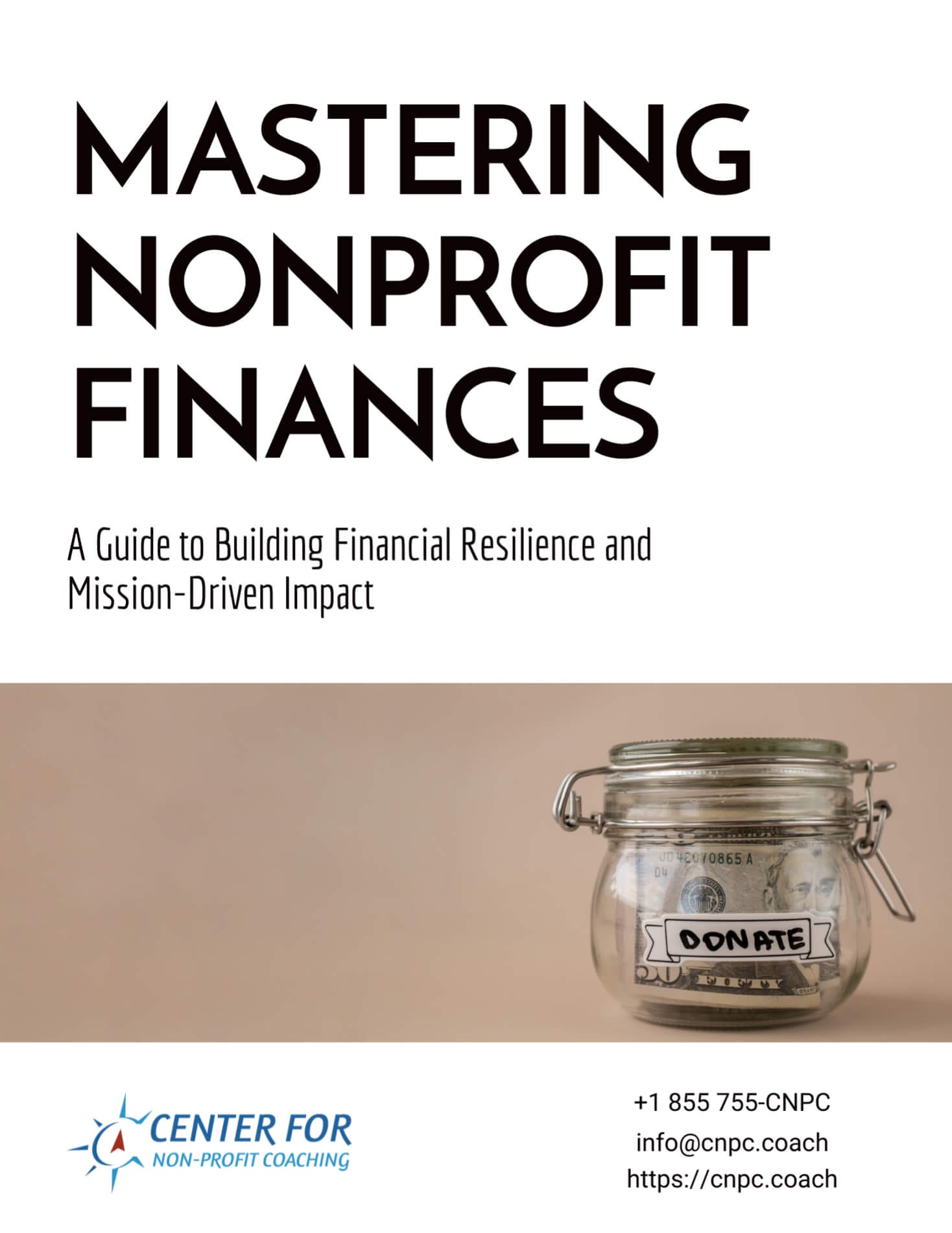 Mastering Nonprofit Finances guide